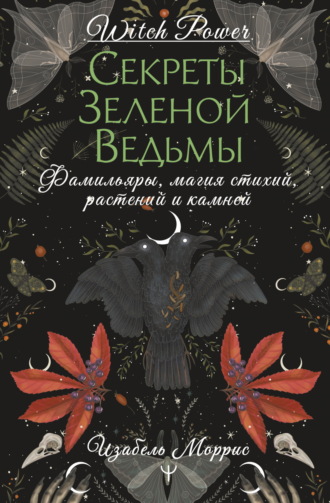 Обложка книги «Секреты зеленой ведьмы. Фамильяры, магия стихий, растений и камней»