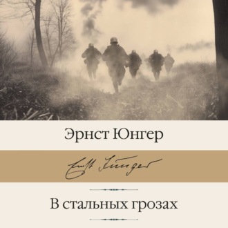 Обложка книги «В стальных грозах»