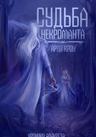Обложка книги «Судьба Некроманта»