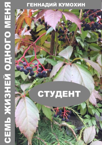Обложка книги «Семь жизней одного меня. Студент»