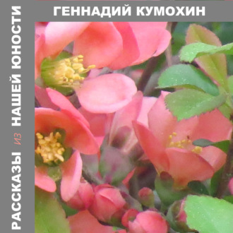 Обложка книги «Рассказы из нашей юности»