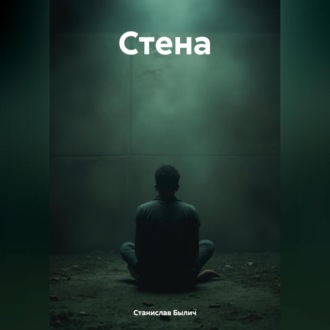 Обложка книги «Стена»