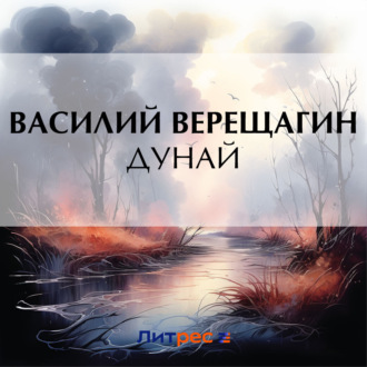 Обложка книги «Дунай»