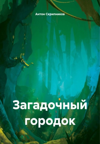 Обложка книги «Загадочный городок»