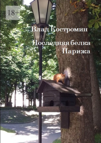Обложка книги «Последняя белка Парижа»