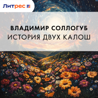 Обложка книги «История двух калош»