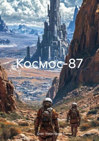 Обложка книги ««Космос-87»»