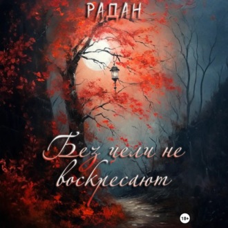 Обложка книги «Без цели не воскресают»