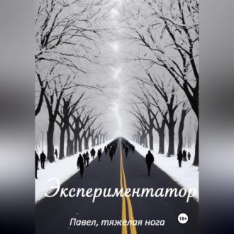 Обложка книги «Экспериментатор»