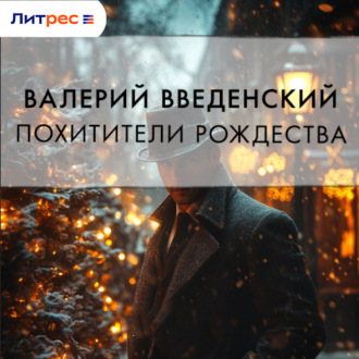 Обложка книги «Похитители рождества»