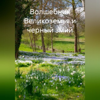 Обложка книги «Волшебник Великоземья и черный змий»
