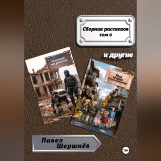 Обложка книги «Сборник рассказов. Том 6»