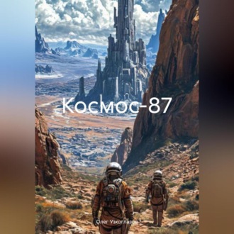 Обложка книги «Космос-87»