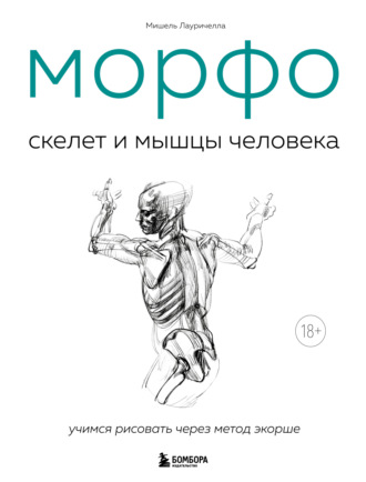 Обложка книги «МОРФО. Скелет и мышцы человека. Анатомия для художников»