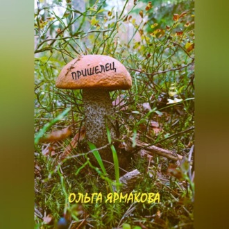 Обложка книги «Пришелец»