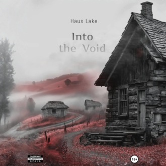 Обложка книги «Into the Void»