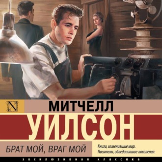 Обложка книги «Брат мой, враг мой»