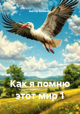 Обложка книги «Как я помню этот мир 1»