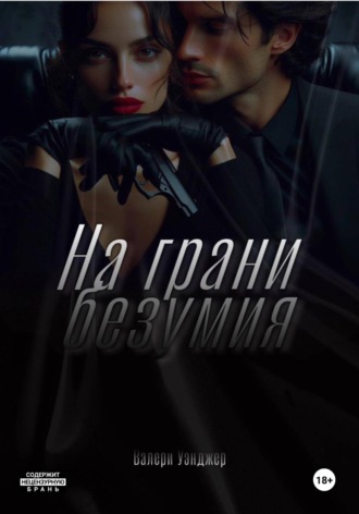 Обложка книги «На грани безумия»
