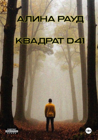 Обложка книги «Квадрат D41»