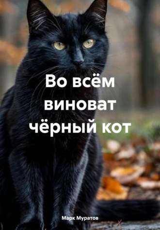 Обложка книги «Во всём виноват чёрный кот»