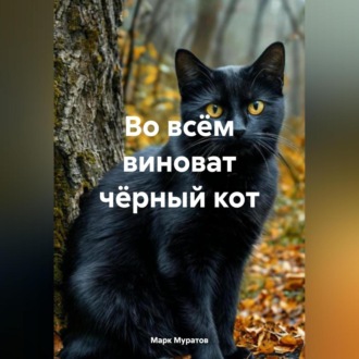 Обложка книги «во всём виноват чёрный кот»