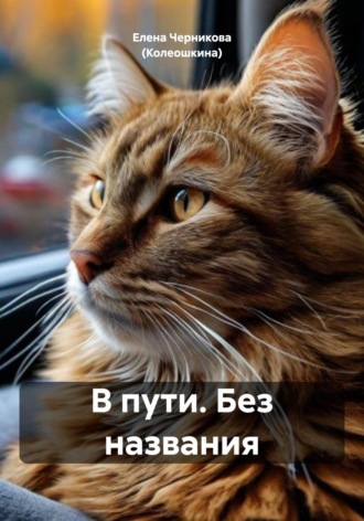 Обложка книги «В пути. Без названия»