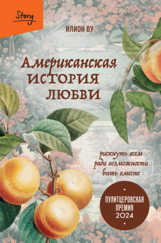 Обложка книги «Американская история любви. Рискнуть всем ради возможности быть вместе»