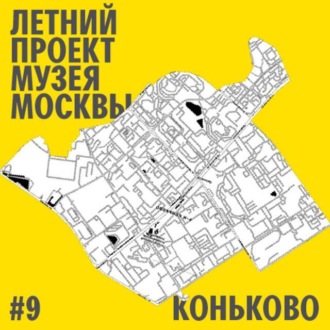 Обложка книги «Район Коньково»