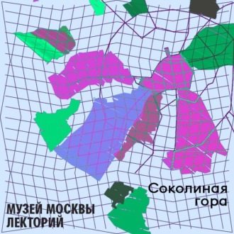 Обложка книги «Район Соколиная гора»