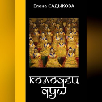 Обложка книги «Колодец душ»
