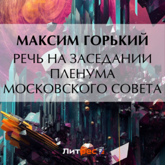 Обложка книги «Речь на заседании пленума Московского Совета»