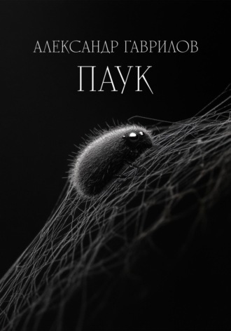 Обложка книги «Паук»