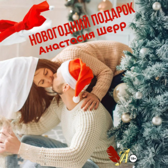 Обложка книги «Новогодний подарок»