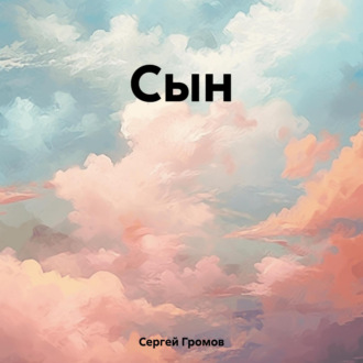 Обложка книги «Сын»