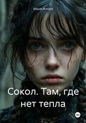 Обложка книги «Сокол. Там, где нет тепла»