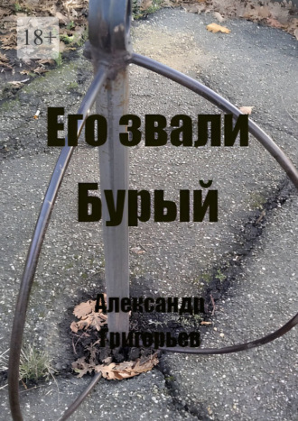 Обложка книги «Его звали Бурый»