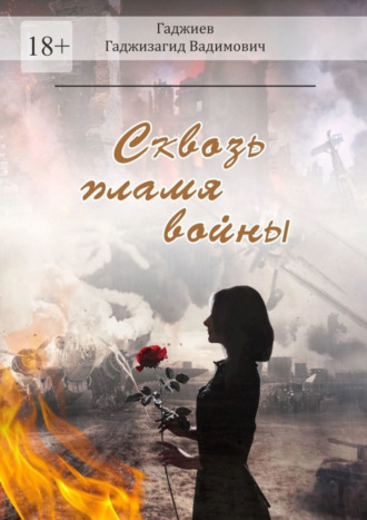 Обложка книги «Сквозь пламя войны»