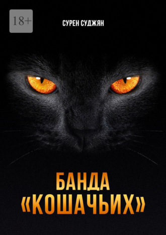 Обложка книги «Банда «Кошачьих»»