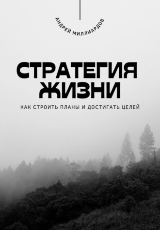 Обложка книги «Стратегия жизни. Как строить планы и достигать целей»