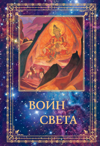 Обложка книги «Воин Света. Том 2»
