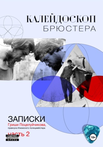 Обложка книги «Калейдоскоп Брюстера»