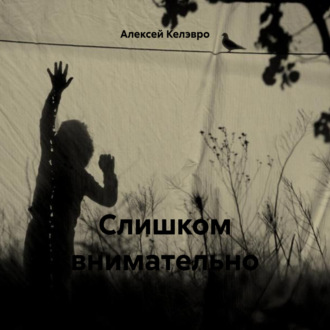 Обложка книги «Слишком внимательно»