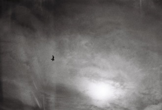 Кирилл Тихомиров. Где мои джинсы