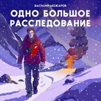 Обложка книги «Одно большое расследование»