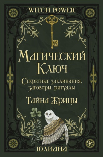 Обложка книги «Магический ключ. Секретные заклинания, заговоры, ритуалы. Тайна жрицы»