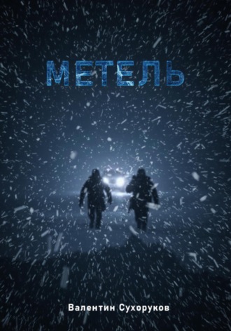 Обложка книги «Метель»
