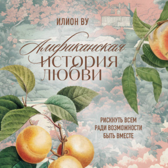 Обложка книги «Американская история любви. Рискнуть всем ради возможности быть вместе»