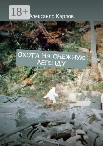 Обложка книги «Охота на снежную легенду»