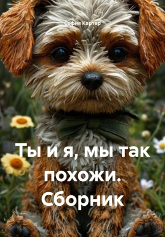 Ты и я, мы так похожи. Сборник. София Картер